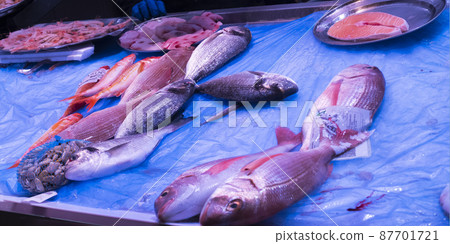 Fresh Fish at Central Food Market Fresh Fish at Central Food Market 87701721