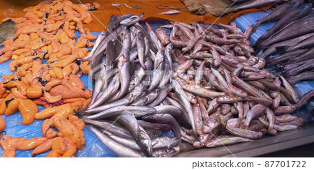 Fresh Fish at Central Food Market Fresh Fish at Central Food Market 87701722