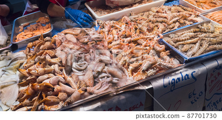 Fresh Fish at Central Food Market 87701730