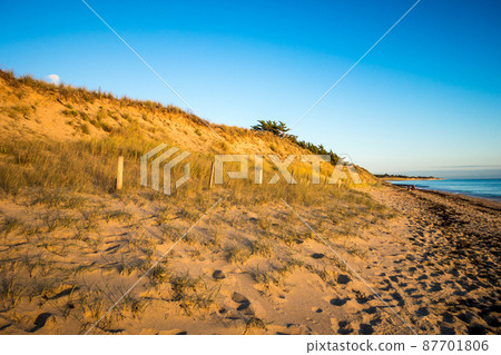 Sand dune and fence on a beach at sunset. Re Island Sand dune and fence on a beach at sunset. Re Island 87701806