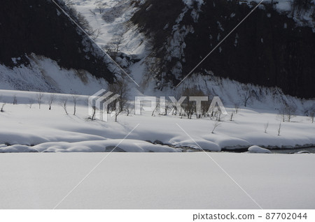 Spot-billed duck music group 87702044