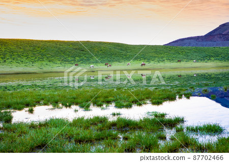 當它是新鮮的綠色時,是草知裡濱的風景。感受浩瀚大地的能量。請使用它作為放鬆的背景。熊本縣 當它是新鮮的綠色時,是草知裡濱的風景。感受浩瀚大地的能量。請使用它作為放鬆的背景。熊本縣 87702466