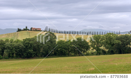 Country road with cypresses leads up the hill to a farmhouse with a green garden in Tuscany, Italy Country road with cypresses leads up the hill to a farmhouse with a green garden in Tuscany, Italy 87703688