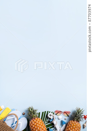 summer summer beach travel pineapple Travel to beach in summer summer break ビーチ 87703974