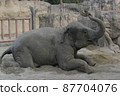 An elephant bathing in the sand on his stomach 87704076