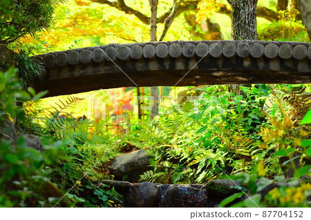 Fairy living forest 87704152