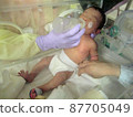 Baby drinking milk in an incubator 87705049