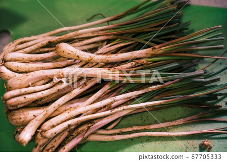 Freshly picked island Rakkyo 05 Freshly picked island Rakkyo 05 87705333