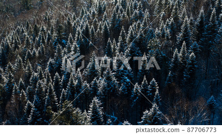 Aerial drone view in mountain forest. Winter landscape. Snowy Fir and Pine trees. Snowy tree branch in a view of the winter forest. Winter landscape, forest, trees covered with frost, snow. Aerial drone view in mountain forest. Winter landscape. Snowy Fir and Pine trees. Snowy tree branch in a view of the winter forest. Winter landscape, forest, trees covered with frost, snow. 87706773