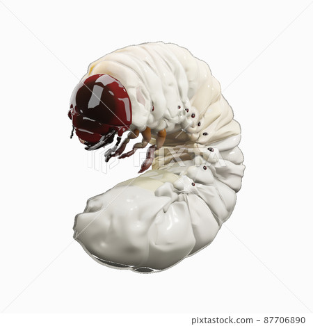 Beetle larva 87706890