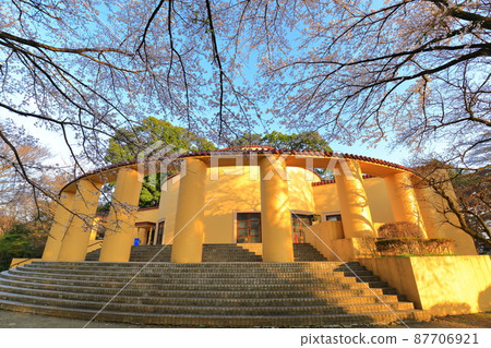 Former Tama Seiseki Memorial Hall Cherry Blossoms Former Tama Seiseki Memorial Hall Cherry Blossoms 87706921