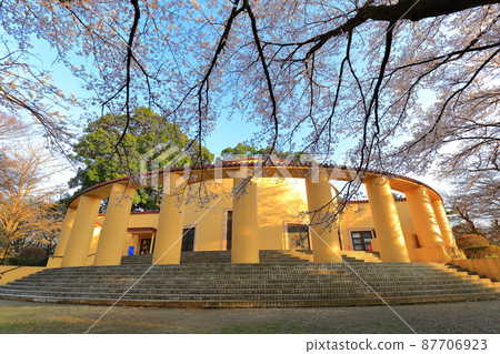 Former Tama Seiseki Memorial Hall Cherry Blossoms 87706923