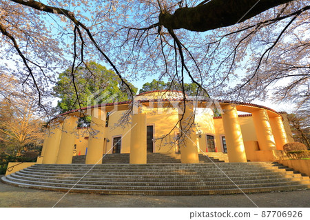 Former Tama Seiseki Memorial Hall Cherry Blossoms 87706926