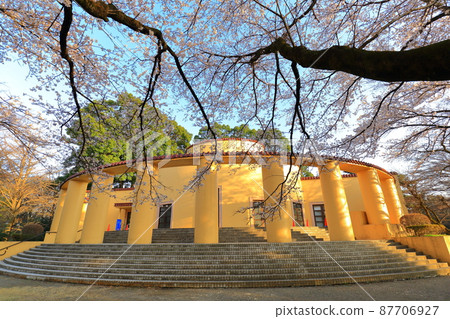 Former Tama Seiseki Memorial Hall Cherry Blossoms 87706927