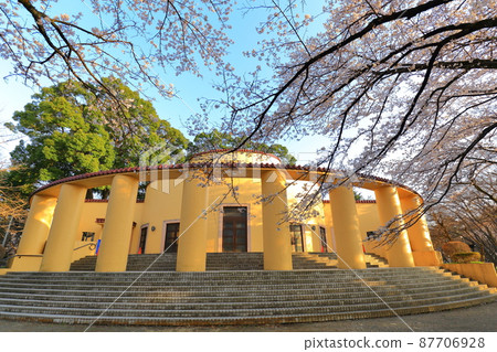 Former Tama Seiseki Memorial Hall Cherry Blossoms 87706928