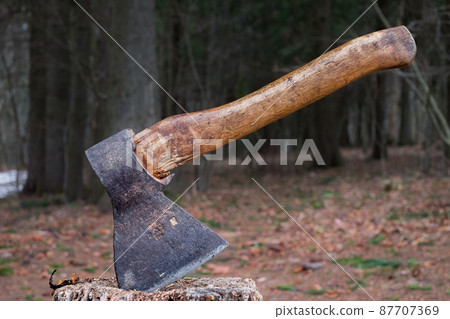 An old axe stuck in a stump against the background of the forest An old axe stuck in a stump against the background of the forest 87707369