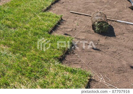 Laying sod for new garden lawn - turf laying concept Laying sod for new garden lawn - turf laying concept 87707916
