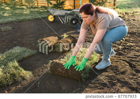 Young woman laying sod for new garden lawn - turf laying concept 87707933