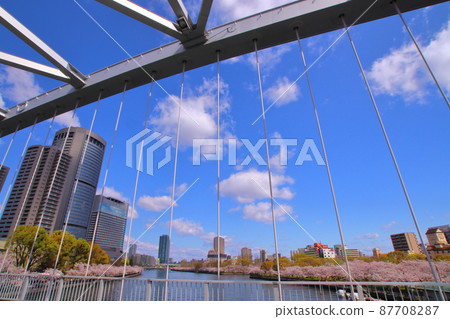 [Osaka City, Osaka Prefecture] Kema Sakuranomiya Park (Sakura) 87708287