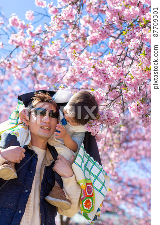 全家福：七五山父子賞櫻 87709301