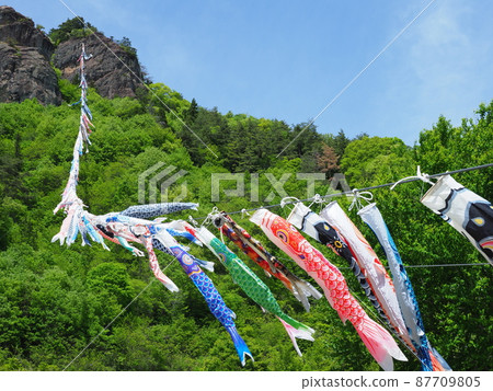 Carp streamer (Roadside Station Reizan Takeyama) 87709805
