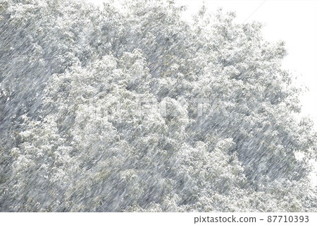 大雪 87710393