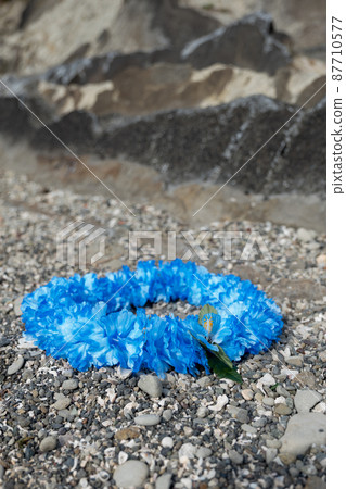 Hawaiian lei blue blue flower lei overseas travel aloha outside travel 87710577