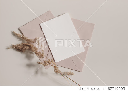 Boho wedding, birthday stationery composition. Blank greeting card, invitation mockup, blush pink, nude envelopes. Dry grass, festuca plant ins sunlight on beige table background. Fall flat lay, top Boho wedding, birthday stationery composition. Blank greeting card, invitation mockup, blush pink, nude envelopes. Dry grass, festuca plant ins sunlight on beige table background. Fall flat lay, top 87710605