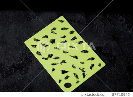 Pattern of dried mint leaves Pattern of dried mint leaves 87710945