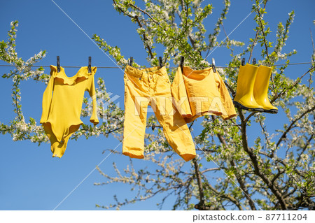 Children's clothing hangs on a clothesline and dries after washing. Bright yellow clothes against a blue sky and a plum tree in bloom. Rubber wet boots dry in the sun. Clothes flutter in the wind. 87711204