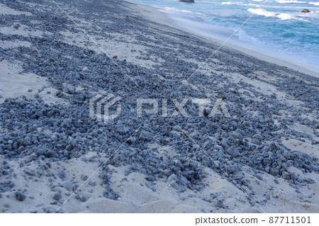 Pumice stone Fukutoku-Okanoba eruption submarine volcano that arrived at Amami Oshima 87711501