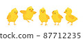 happy yellow chicks set. Vector illustration isolated 87712235
