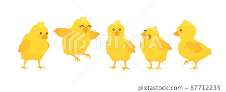 happy yellow chicks set. Vector illustration isolated 87712235