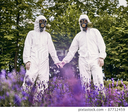 Portrait of couple of scientists wearing white overalls, gloves and gas masks standing in blooming lavender field holding hands. Purple flowers blurred on foreground Portrait of couple of scientists wearing white overalls, gloves and gas masks standing in blooming lavender field holding hands. Purple flowers blurred on foreground 87712459