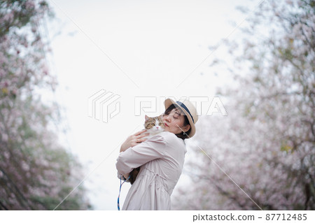 asian woman travel outdoor with her cat with pink flower in springtime season 87712485