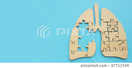 Lung from puzzle pieces with a hole symbolizing the disease. Lung from puzzle pieces with a hole symbolizing the disease. 87712549