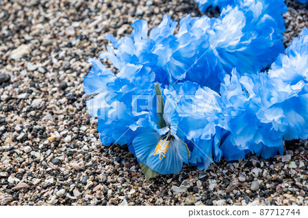 Creative miscellaneous goods Hawaiian lei rock coast handmade 87712744