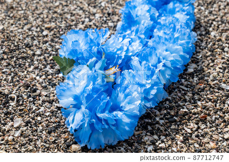 Creative miscellaneous goods Hawaiian lei rock coast handmade Creative miscellaneous goods Hawaiian lei rock coast handmade 87712747