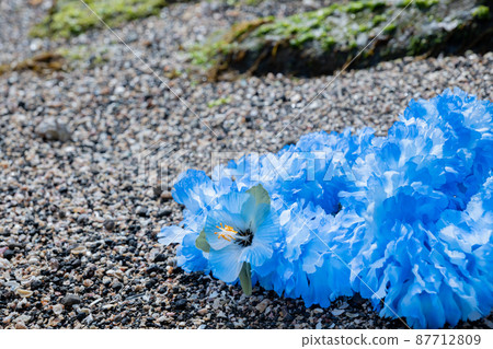 Creative miscellaneous goods Hawaiian Ray Rock Coast Handmade Blue Blu-ray blue Creative miscellaneous goods Hawaiian Ray Rock Coast Handmade Blue Blu-ray blue 87712809