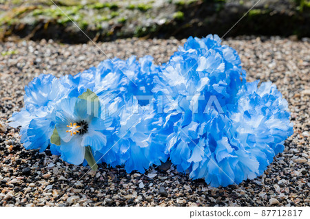 創意雜貨 Hawaiian Ray Rock Coast Handmade Blue Blu-ray blue 創意雜貨 Hawaiian Ray Rock Coast Handmade Blue Blu-ray blue 87712817