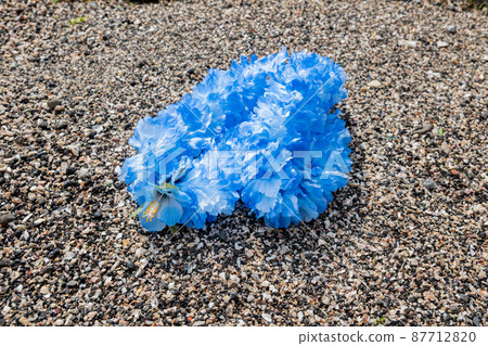 創意雜貨 Hawaiian Ray Rock Coast Handmade Blue Blu-ray blue 創意雜貨 Hawaiian Ray Rock Coast Handmade Blue Blu-ray blue 87712820