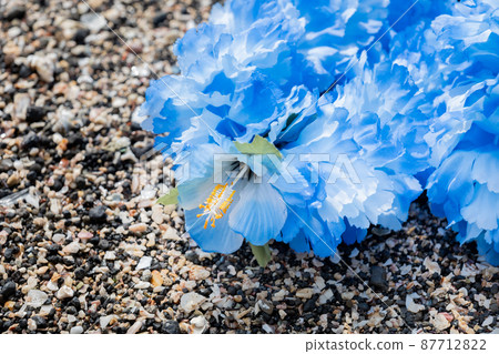 創意雜貨 Hawaiian Ray Rock Coast Handmade Blue Blu-ray blue 87712822