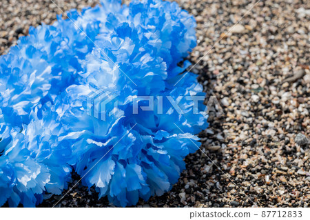 Creative miscellaneous goods Hawaiian Ray Rock Coast Handmade Blue Blu-ray blue Creative miscellaneous goods Hawaiian Ray Rock Coast Handmade Blue Blu-ray blue 87712833