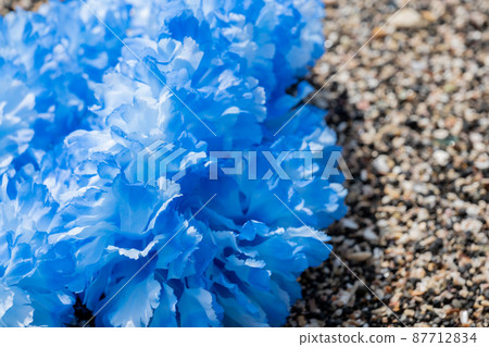 Creative miscellaneous goods Hawaiian Ray Rock Coast Handmade Blue Blu-ray blue Creative miscellaneous goods Hawaiian Ray Rock Coast Handmade Blue Blu-ray blue 87712834