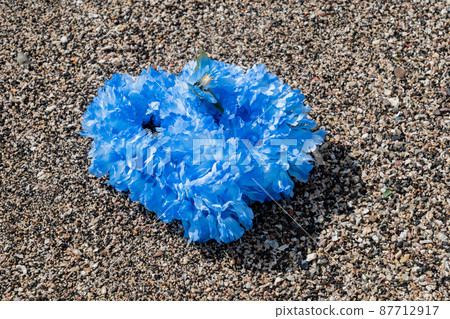 Creative miscellaneous goods Hawaiian Ray Rock Coast Handmade Blue Blu-ray blue 87712917