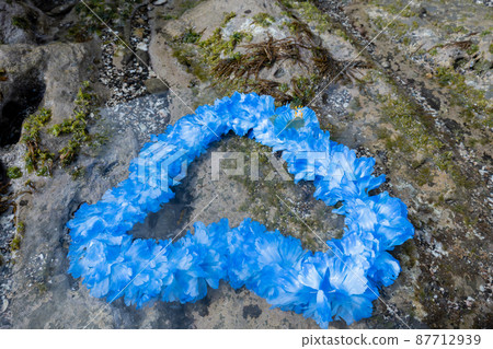 創意雜貨 Hawaiian Ray Rock Coast Handmade Blue Blu-ray blue 87712939