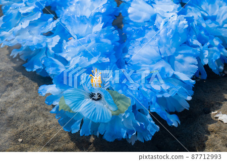 Creative miscellaneous goods Hawaiian Ray Rock Coast Handmade Blue Underwater Blu-ray blue 87712993