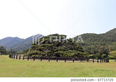 Okinawa Iheya Iheya Island Nento Hiramatsu 87713720