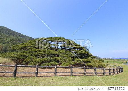 Okinawa Iheya Iheya Island Nento Hiramatsu 87713722