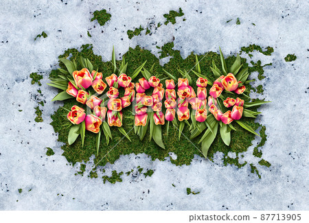 Spring Symbol 87713905
